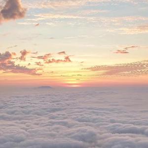 欧美一区二区精品小视频在线
