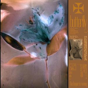 欧美一区二区精品小视频在线
